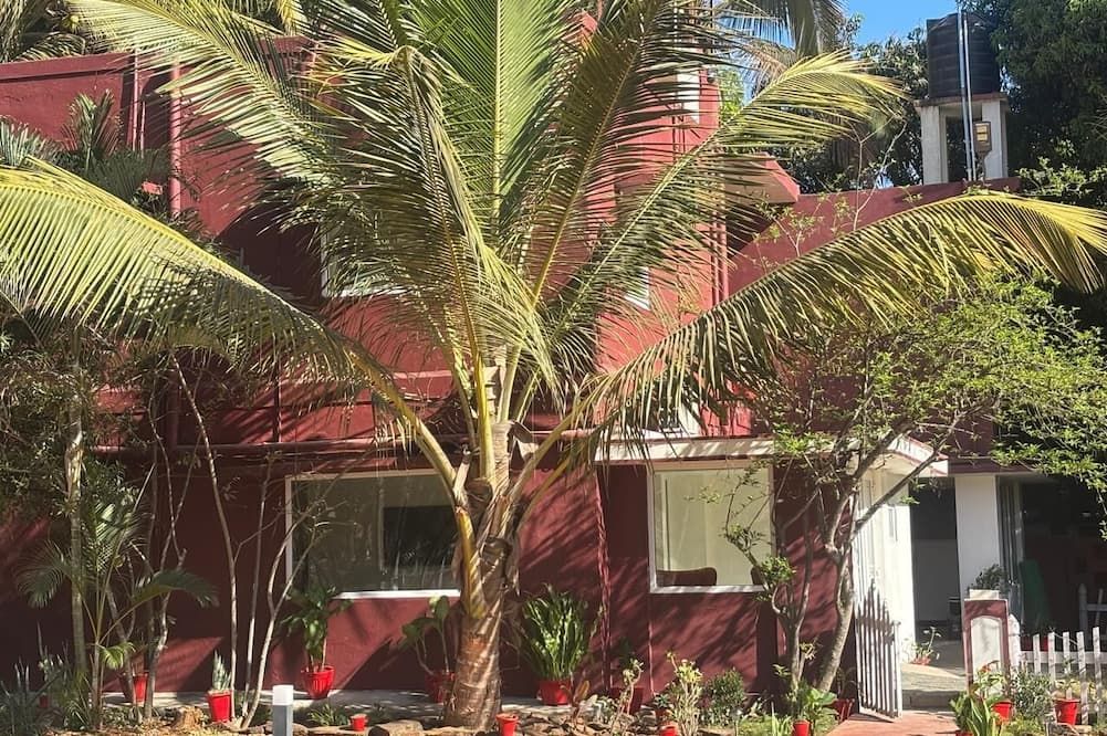 المظهر الخارجي