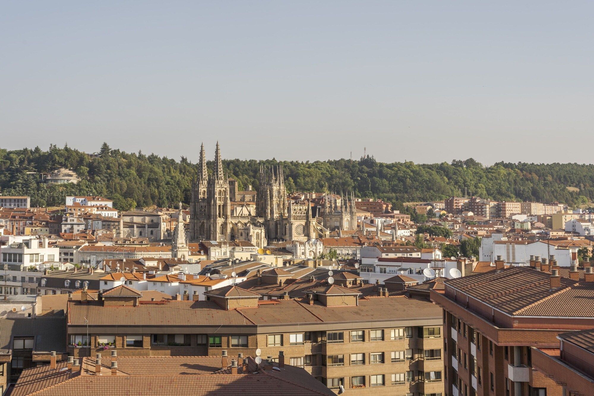 المظهر الخارجي