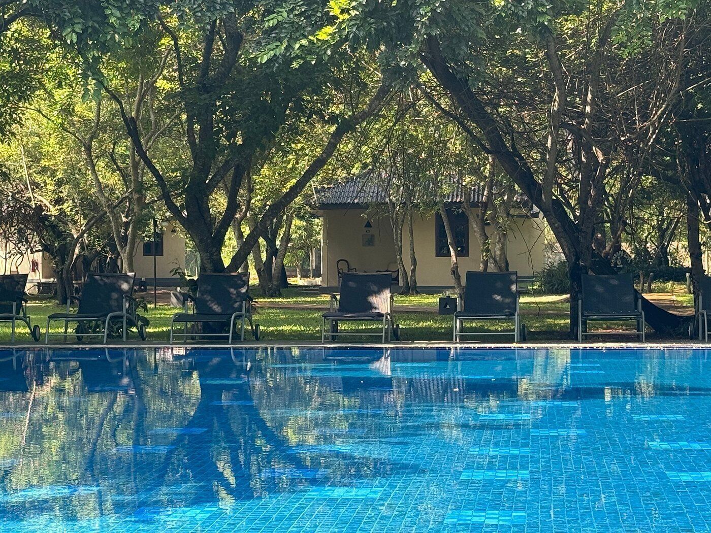 حوض السباحة صورة