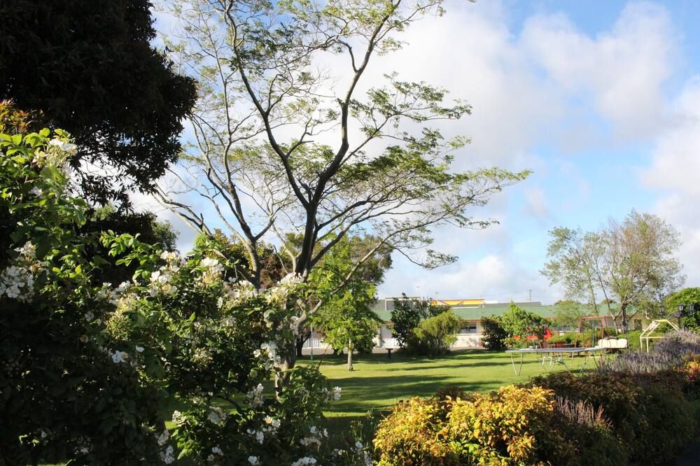 المظهر الخارجي