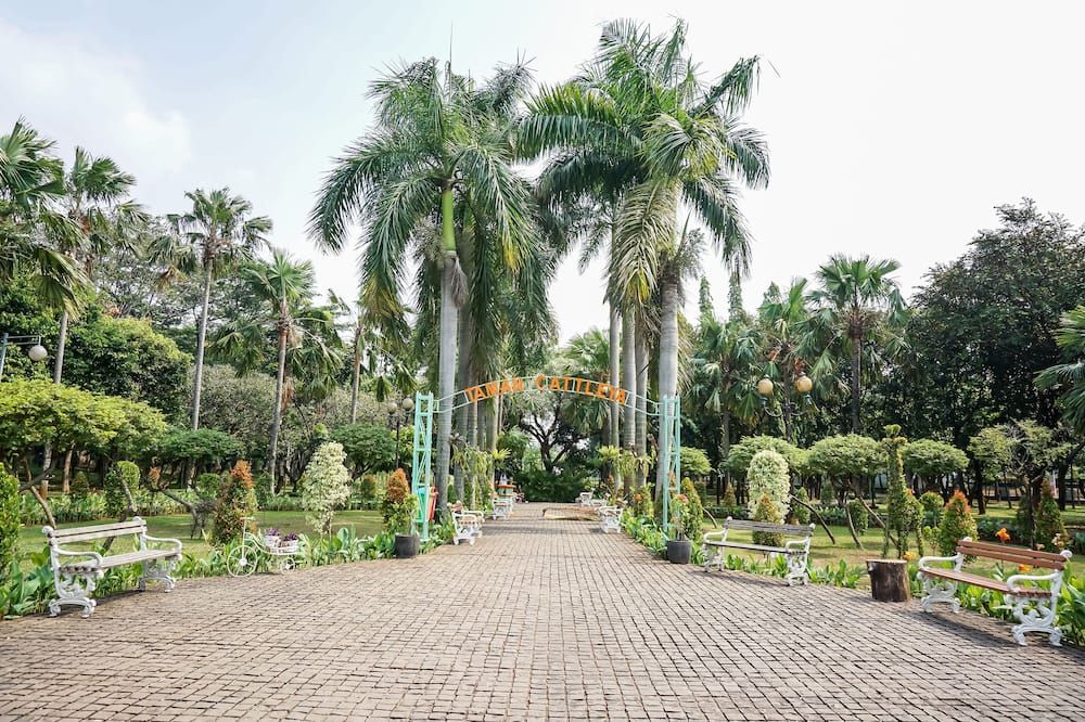 المظهر الخارجي