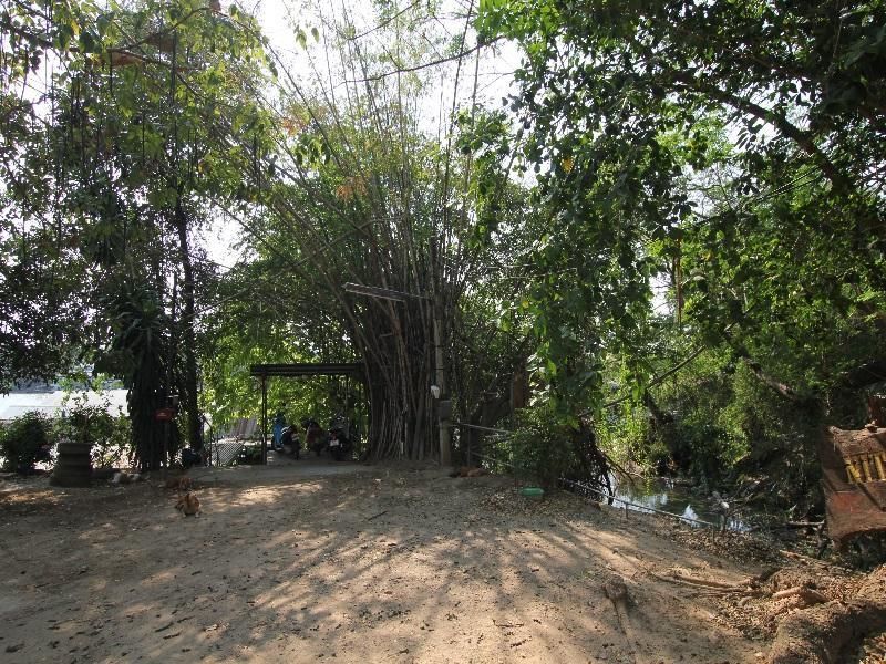 المظهر الخارجي