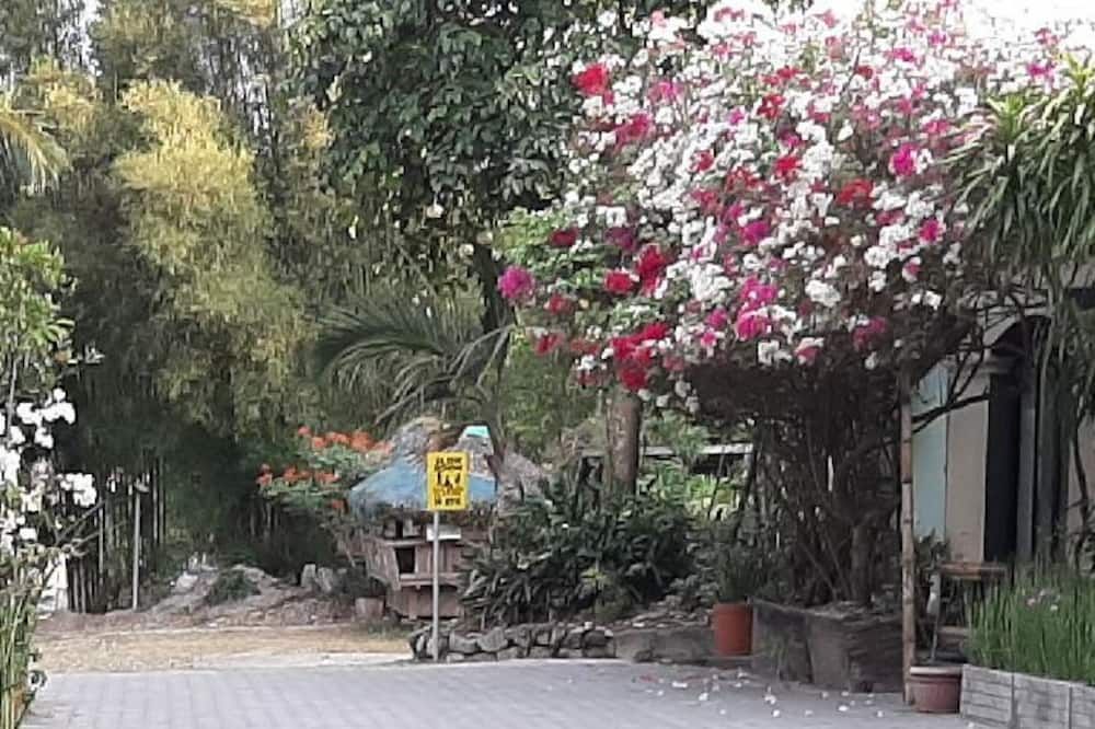 المظهر الخارجي