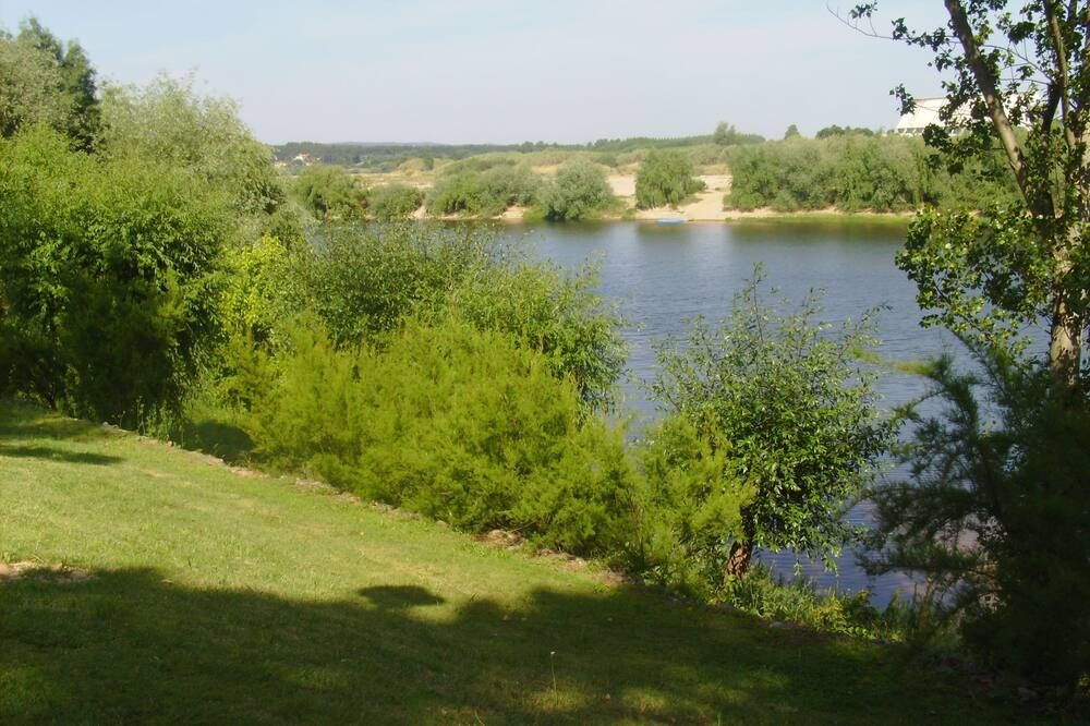 المظهر الخارجي