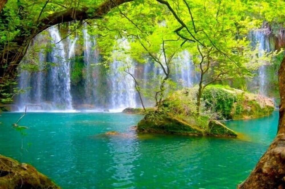آخر صورة