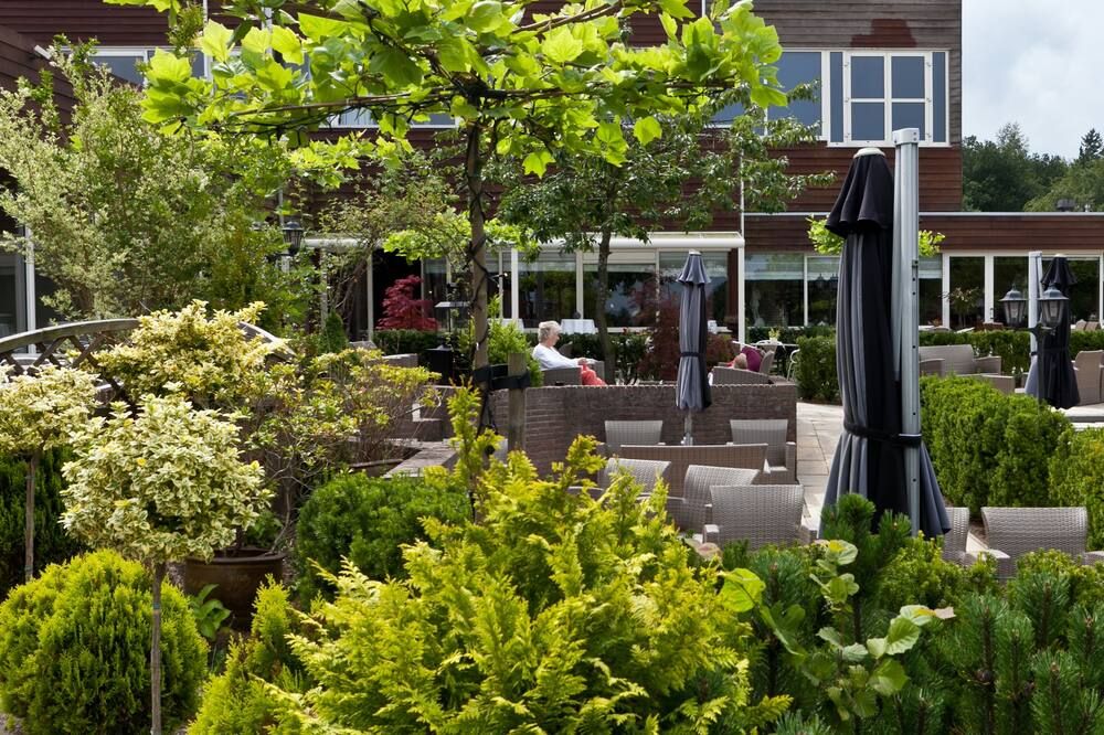 المظهر الخارجي