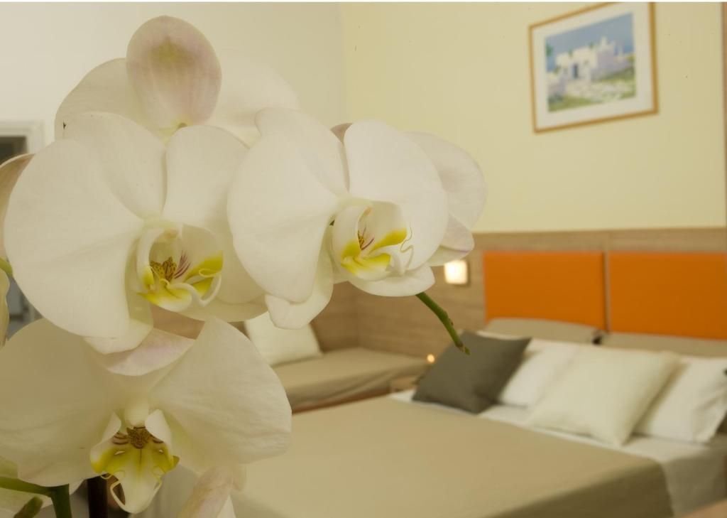 وسائل راحة في الغرف