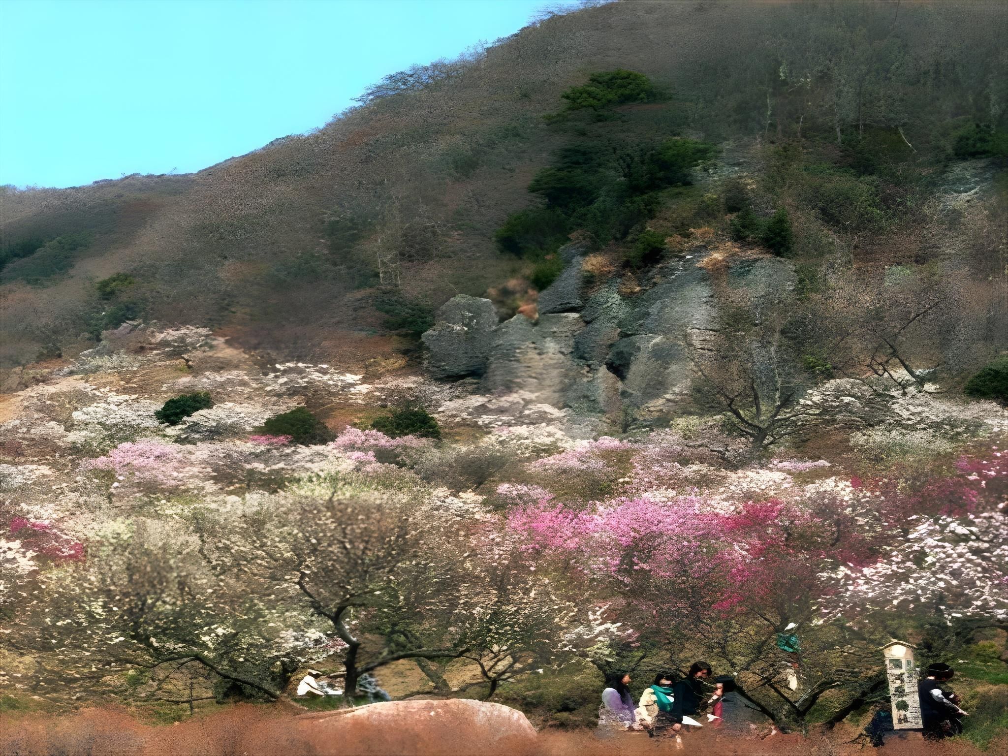 المظهر الخارجي