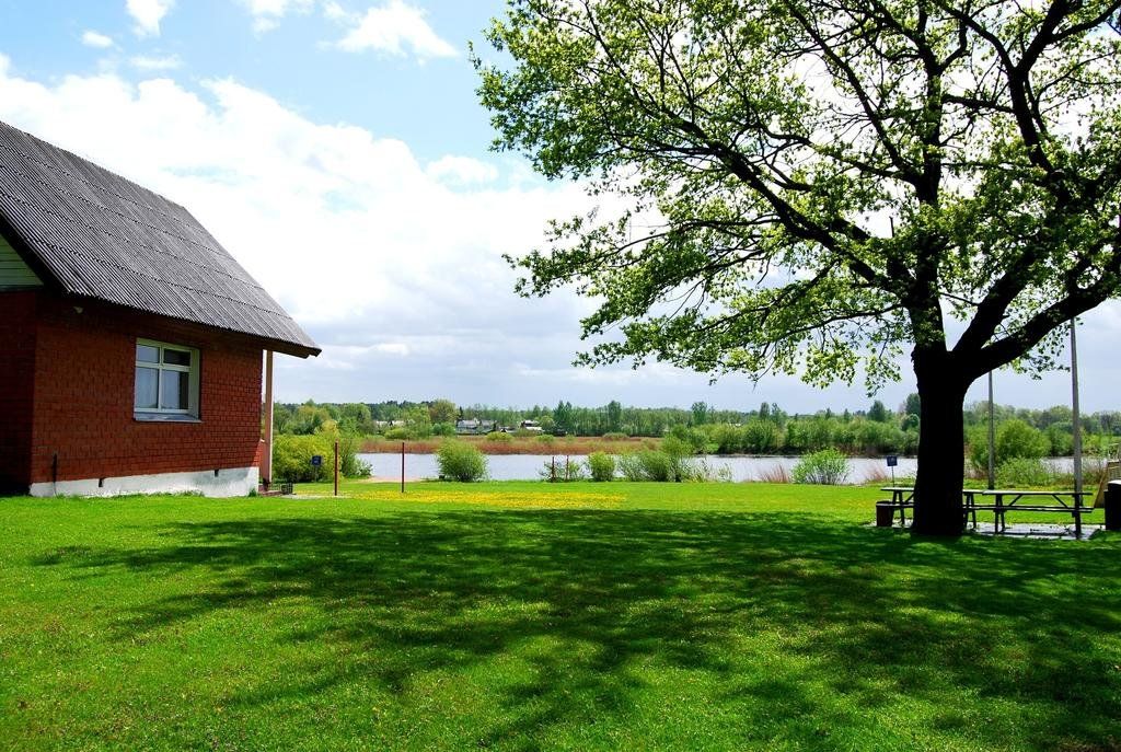 المظهر الخارجي