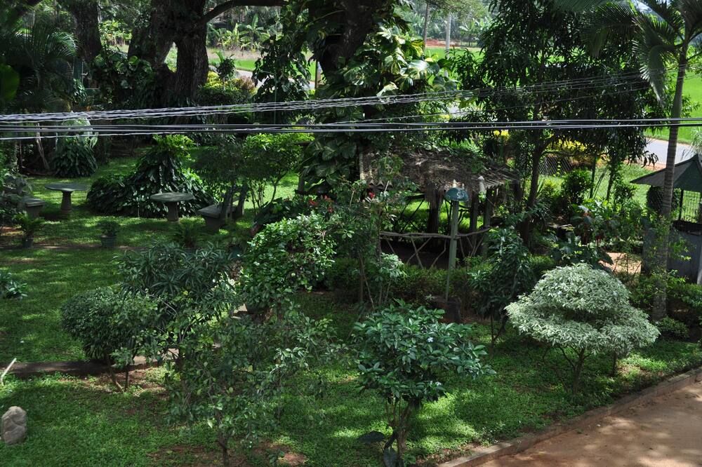 المظهر الخارجي