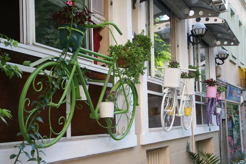 المظهر الخارجي