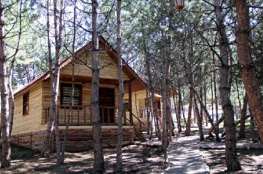 المظهر الخارجي