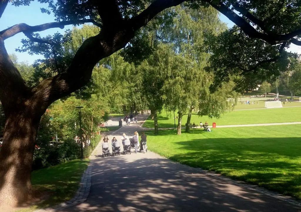 المظهر الخارجي