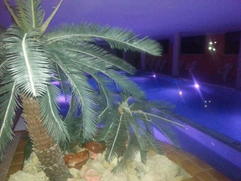 حوض السباحة