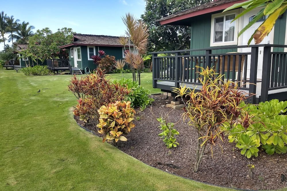 المظهر الخارجي