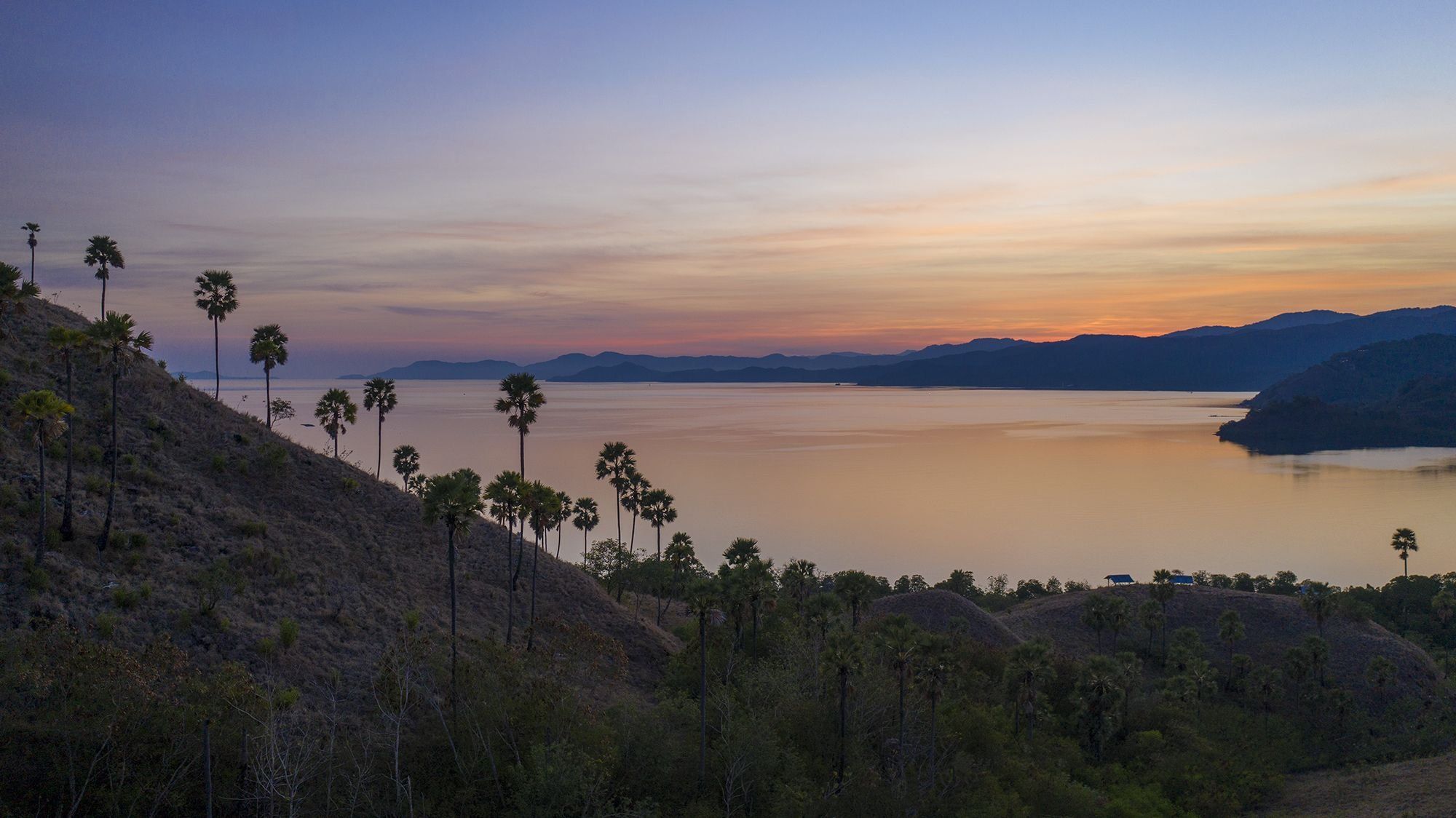 المظهر الخارجي