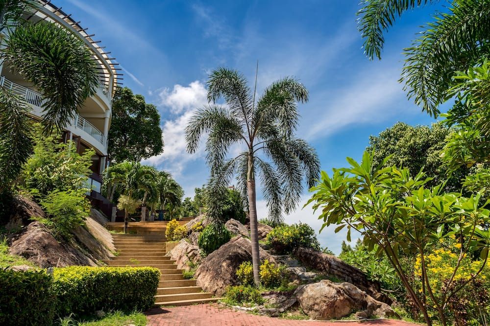 المظهر الخارجي