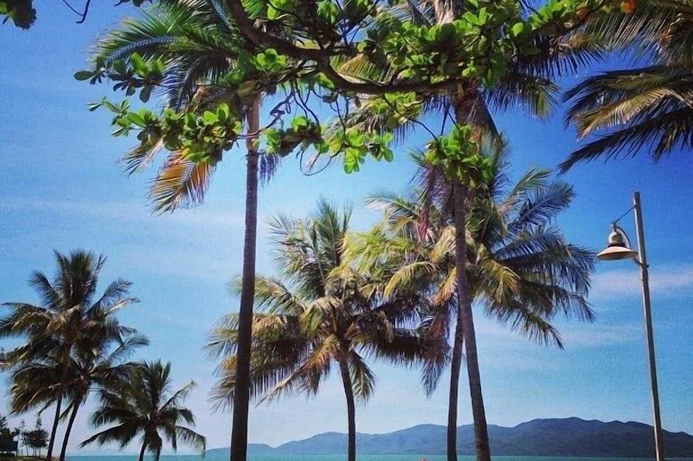 المظهر الخارجي