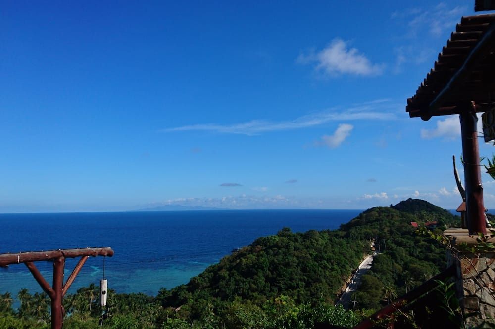 المظهر الخارجي