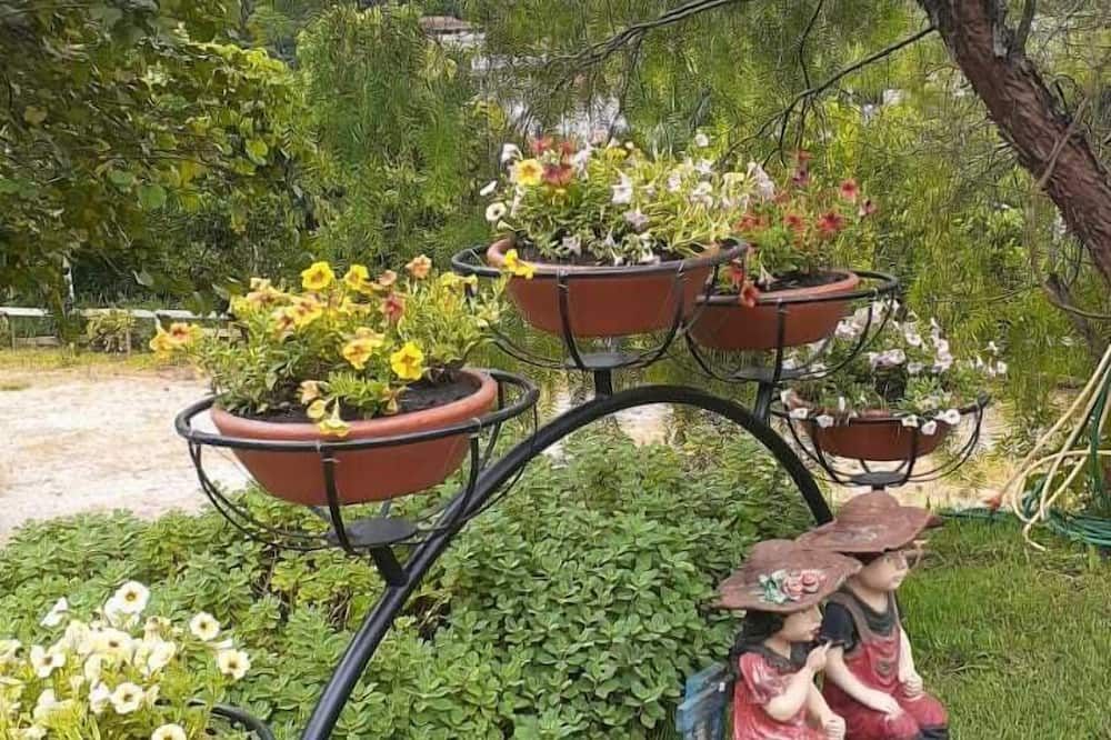 المظهر الخارجي