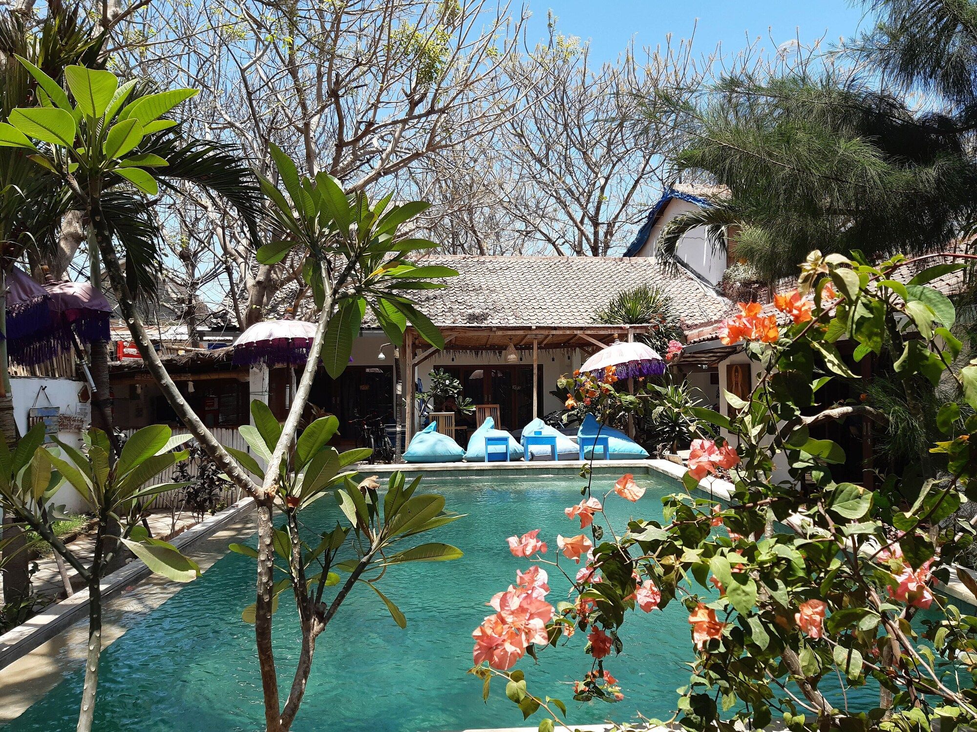 حوض السباحة