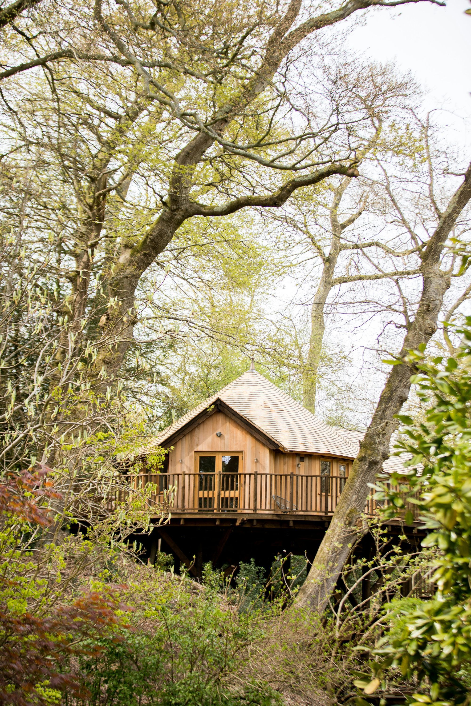 المظهر الخارجي