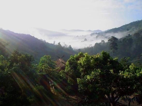 المظهر الخارجي