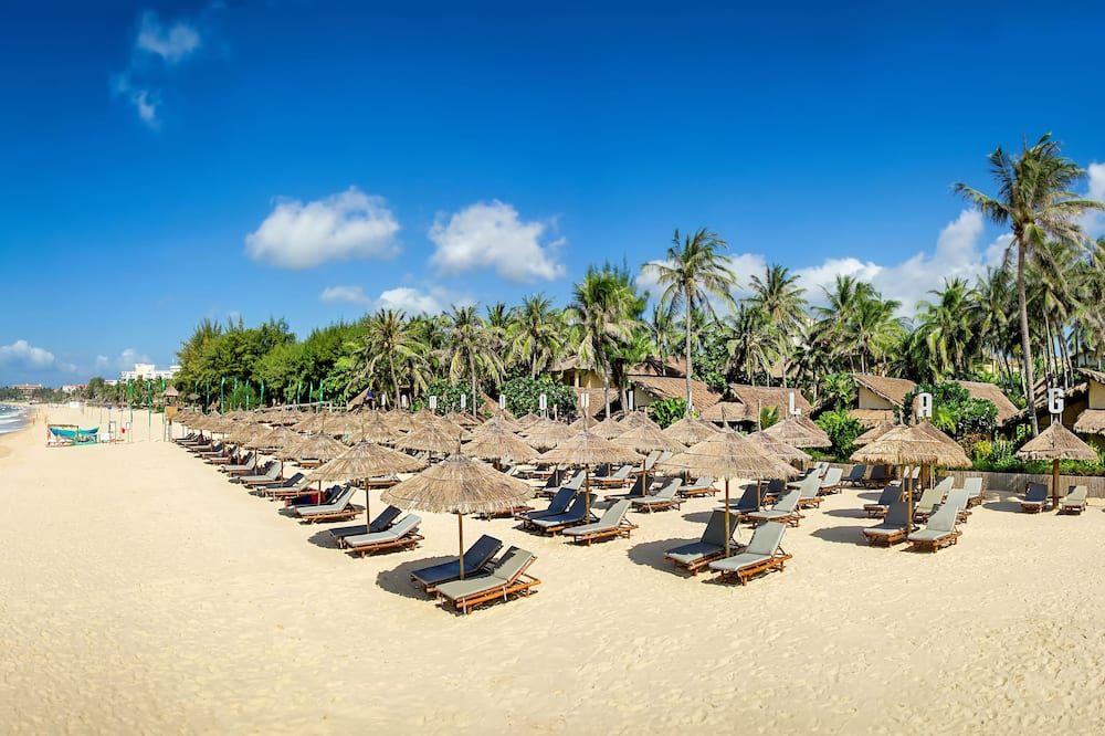 شاطئ