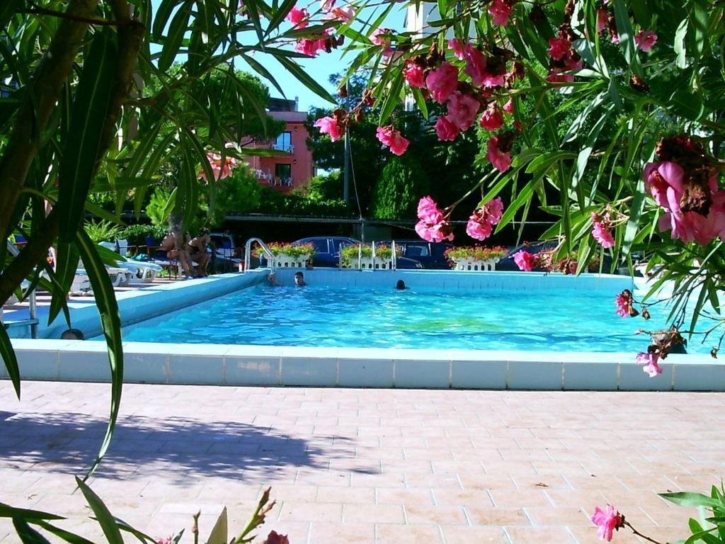 حوض السباحة صورة