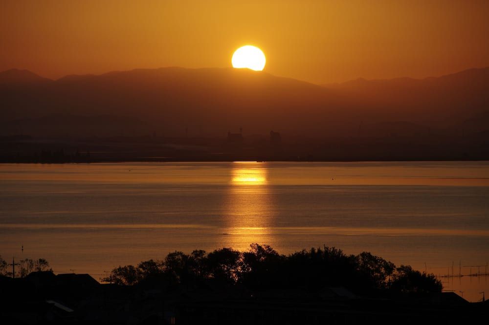 المظهر الخارجي