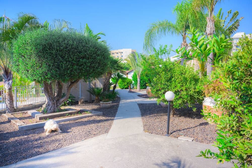 المظهر الخارجي