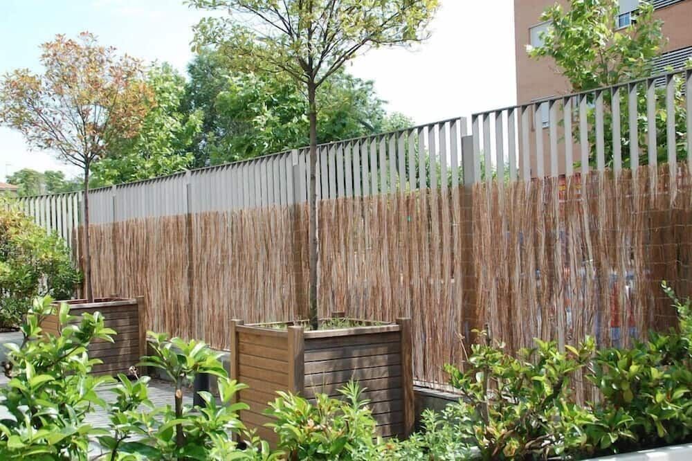 المظهر الخارجي