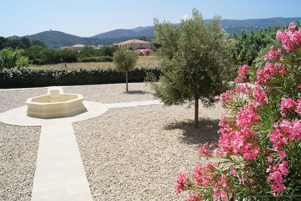 المظهر الخارجي