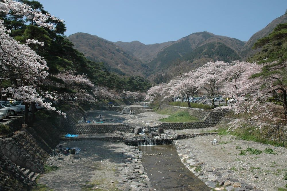 المظهر الخارجي