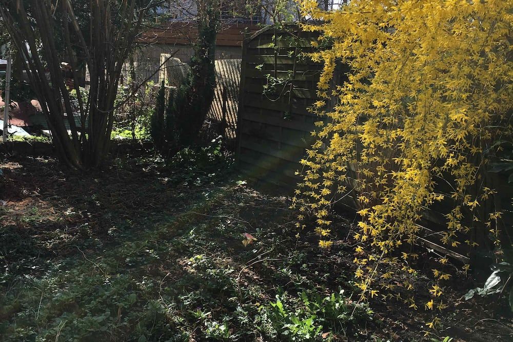 المظهر الخارجي