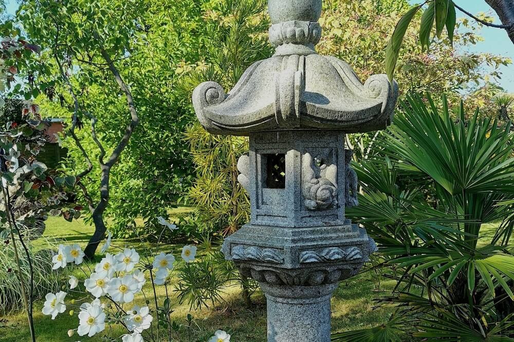 المظهر الخارجي