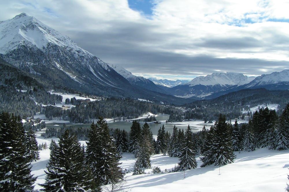 المظهر الخارجي