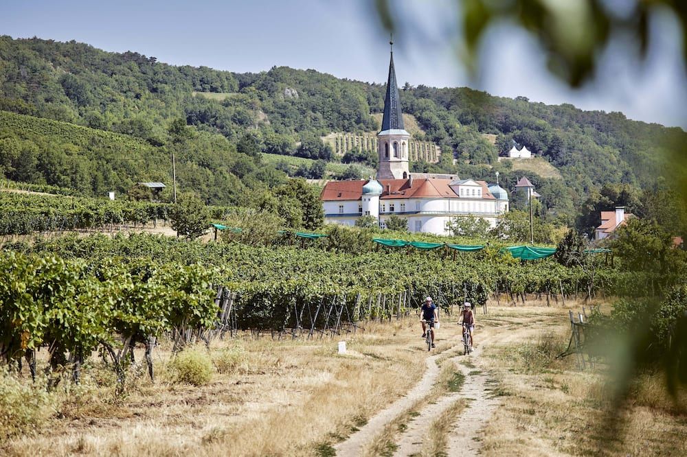 المظهر الخارجي