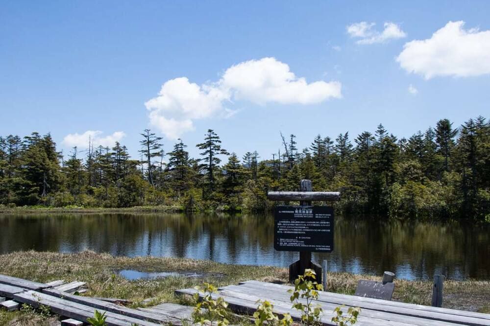 المظهر الخارجي