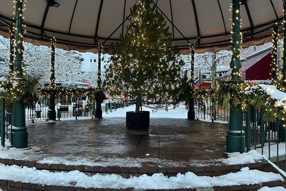 المظهر الخارجي