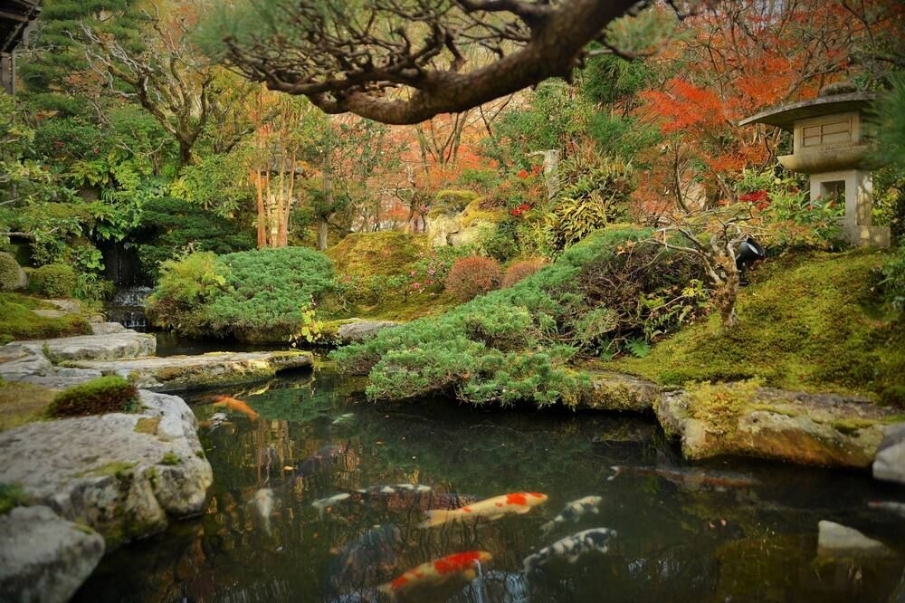 المظهر الخارجي