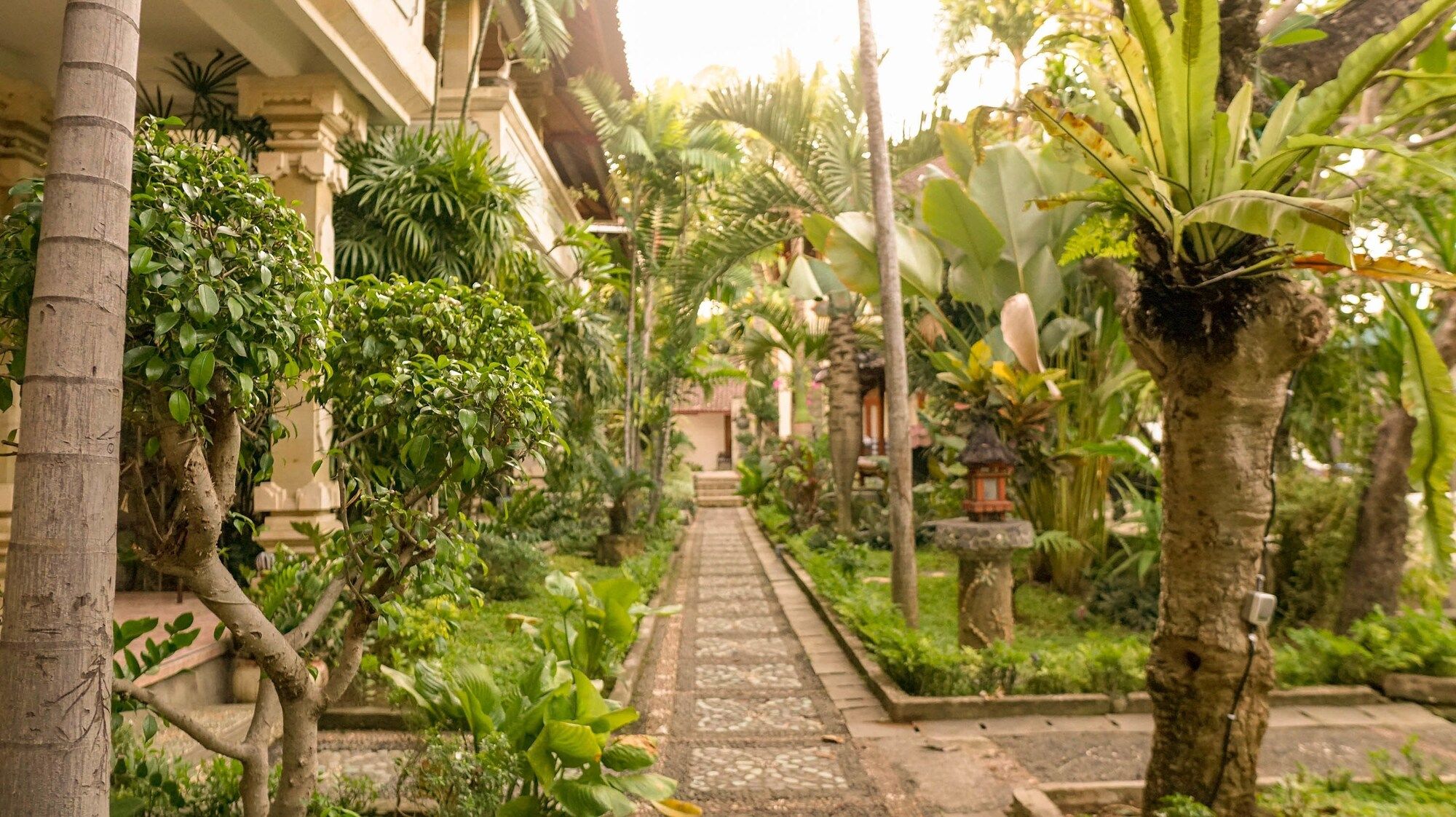 المظهر الخارجي