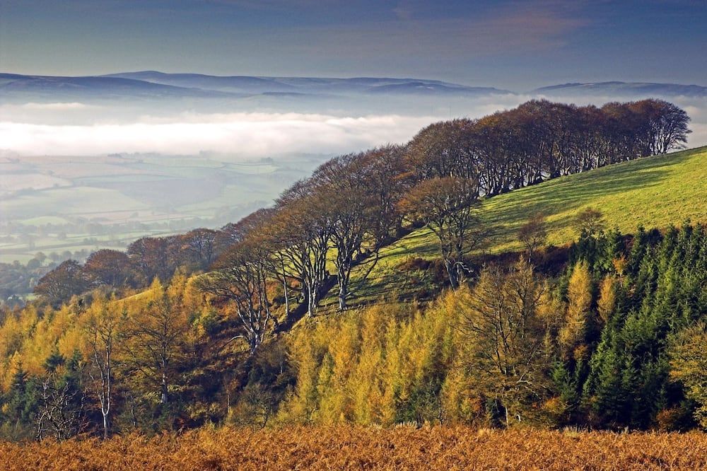 المظهر الخارجي