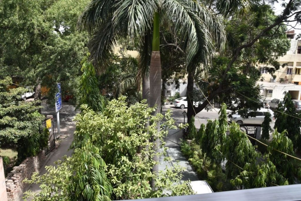 المظهر الخارجي