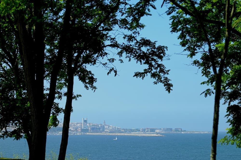 المظهر الخارجي