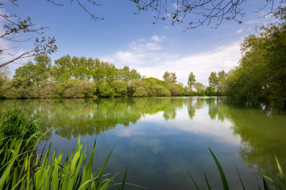 المظهر الخارجي