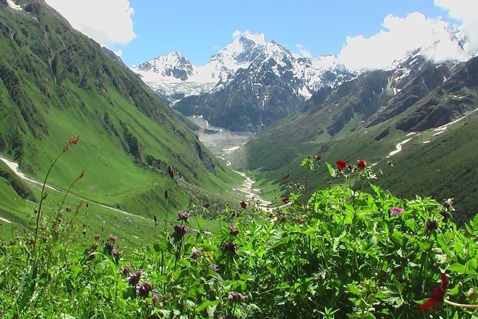 المظهر الخارجي