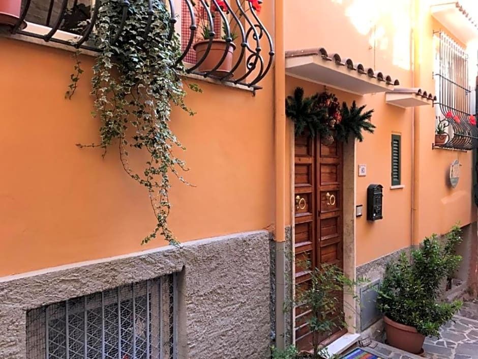 المظهر الخارجي