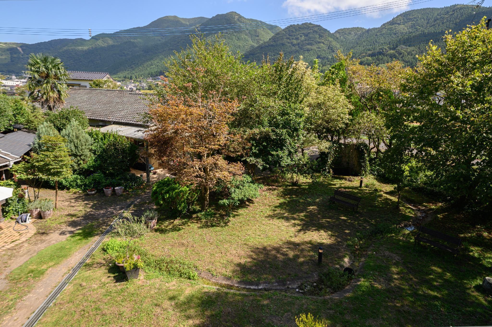 المظهر الخارجي