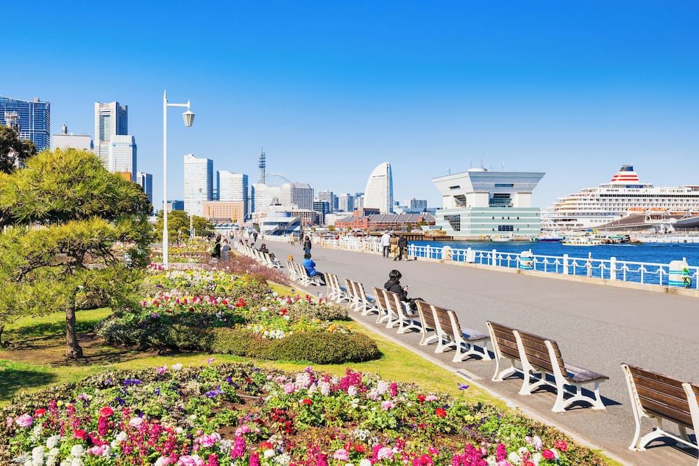 المظهر الخارجي